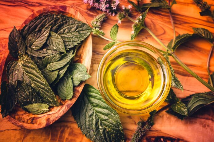 cha-antioxidante-auxilia-no-controle-da-glicemia-e-protege-o-coracao