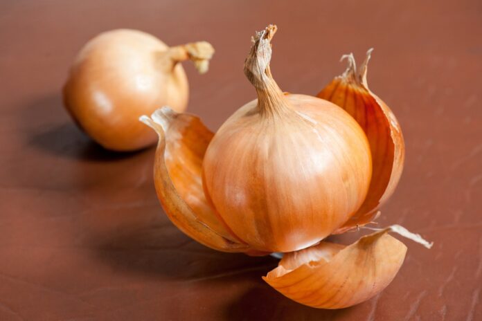 substancia-presente-na-cebola-pode-ser-aliada-da-saude-cardiovascular