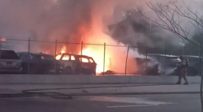 incendio-atinge-concessionaria-de-carros-de-luxo-na-barra-da-tijuca