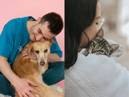 “arraia-pet”:-prefeitura-de-sp-tem-288-caes-e-gatos-a-espera-de-novos-lares