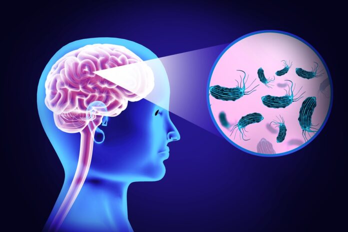 eua:-paciente-morre-apos-infeccao-por-“ameba-comedora-de-cerebro”