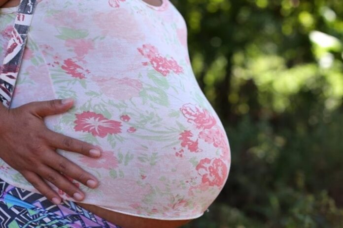 estudo-brasileiro-acha-microplastico-em-placentas-e-cordoes-umbilicais