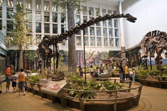 estudo-revela-dieta-de-dinossauros-gigantes-ha-150-milhoes-de-ano