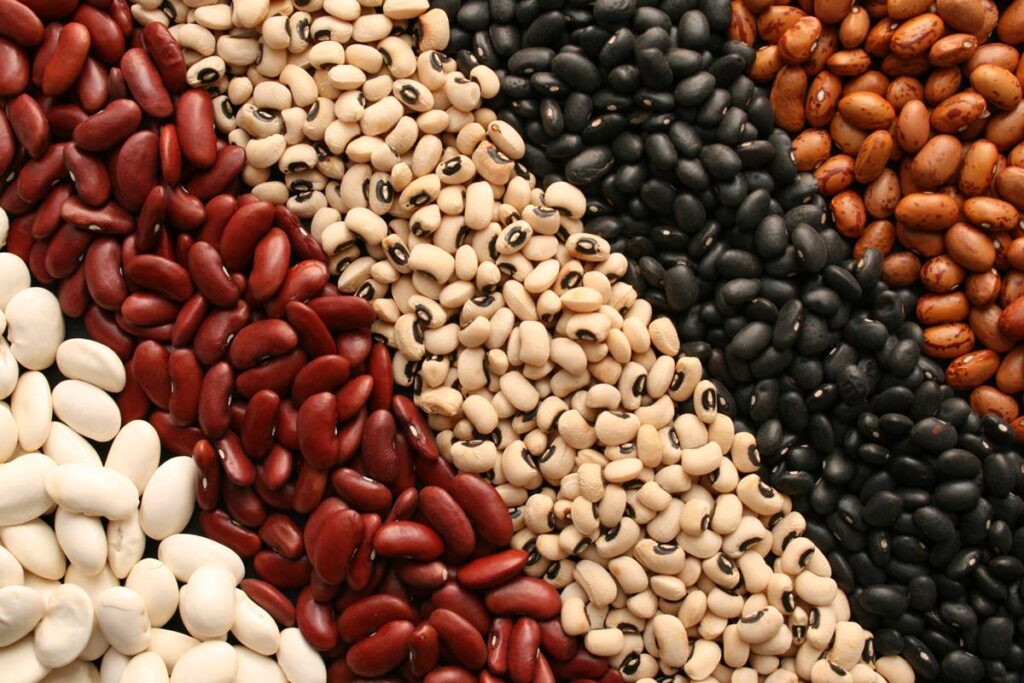 feijao:-conheca-os-tipos,-beneficios-e-como-usa-los-no-dia-a-dia