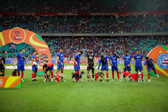 jogadores-do-bahia-entram-em-campo-com-cachorros-para-adocao;-veja
