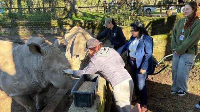 zoologico-reabre-apos-ficar-2-meses-fechado-por-foco-de-gripe-aviaria-no-rs