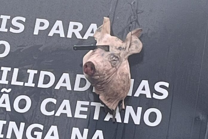 torcida-do-corinthians-volta-a-provocar-palmeiras-com-cabeca-de-porco