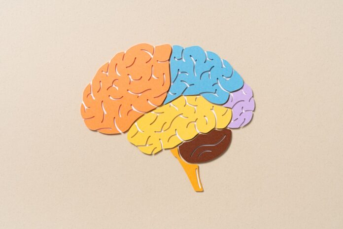 saiba-quais-sao-os-riscos-para-o-cerebro-de-assistir-videos-acelerados