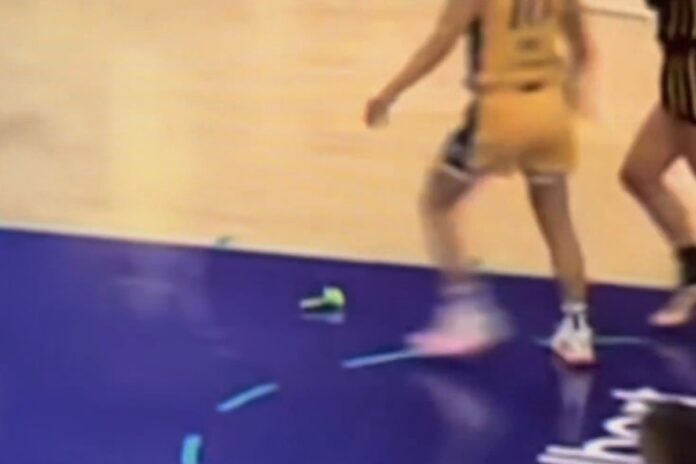 homens-sao-presos-por-lancarem-penis-de-borracha-em-jogos-da-wnba