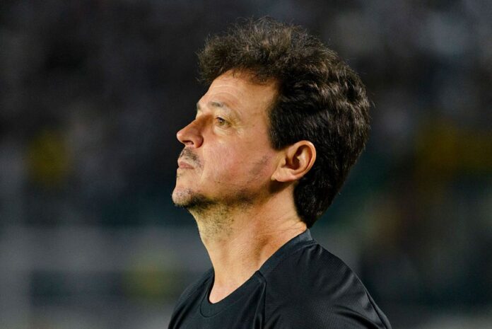 fernando-diniz-comenta-sobre-vasco-no-z4:-“eu-confio-muito-no-time”