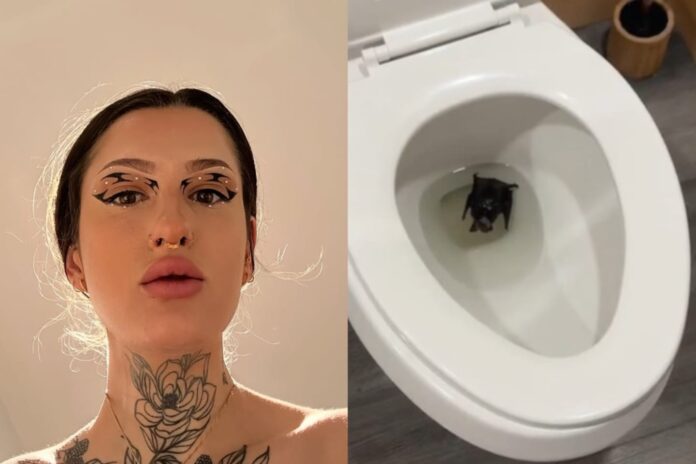 mulher-viraliza-ao-achar-morcego-em-vaso-e-seguidores-indicam-vacina