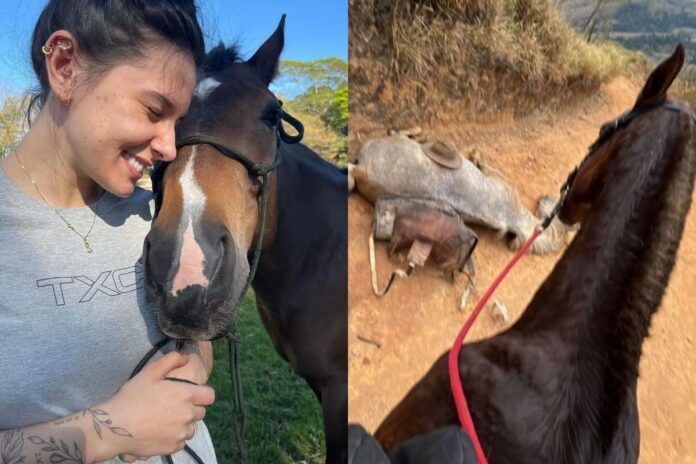 ana-castela-expoe-homem-que-teria-cortado-patas-de-cavalo:-“covarde”