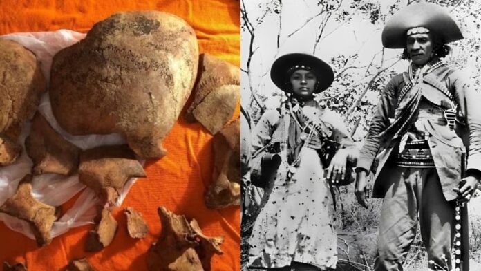 cranios-de-lampiao-e-maria-bonita-seguem-conservados-em-museu:-entenda-como