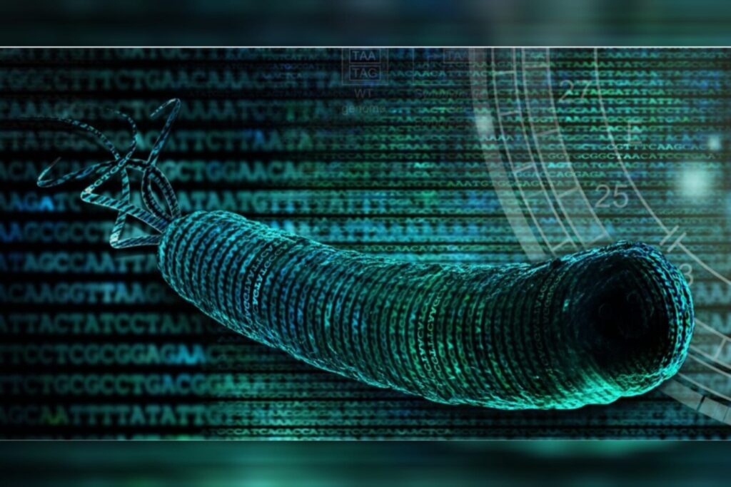 cientistas-criam-ser-vivo-com-dna-mais-simplificado-de-todos-os-tempos
