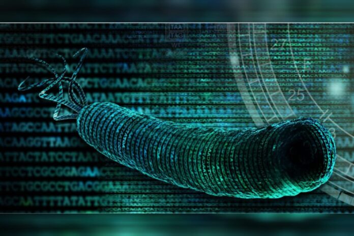 cientistas-criam-ser-vivo-com-dna-mais-simplificado-de-todos-os-tempos