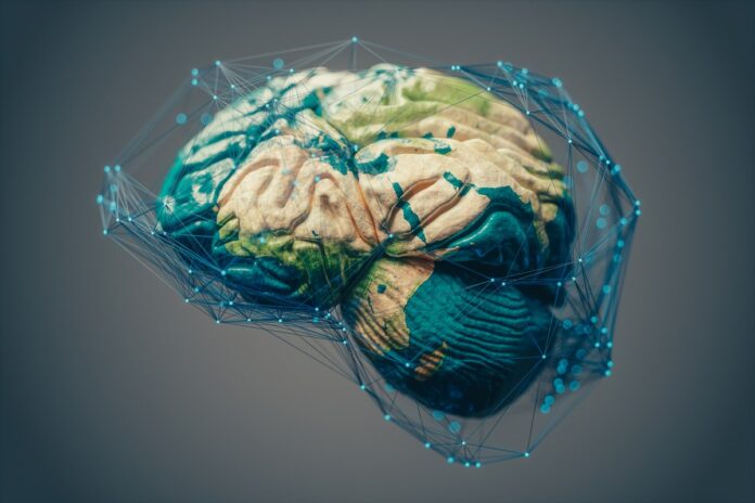 mapa-cerebral-do-corpo-permanece-igual-mesmo-depois-de-amputacao