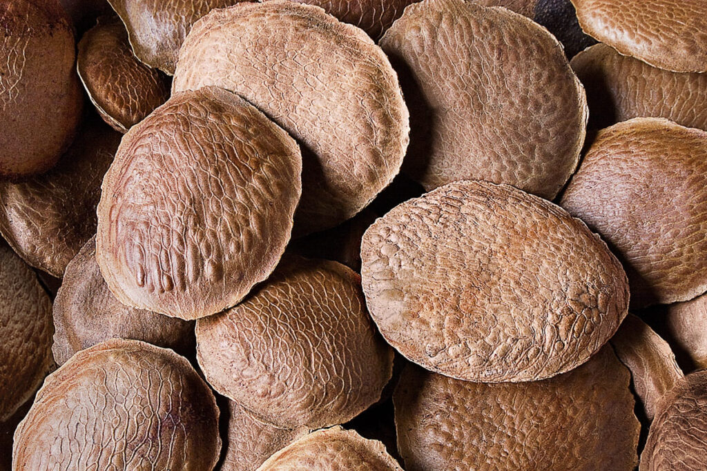 cha-anti-inflamatorio-de-semente-pode-aliviar-dor-articular-e-muscular