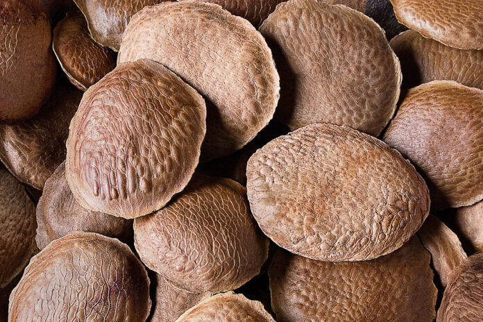 cha-anti-inflamatorio-de-semente-pode-aliviar-dor-articular-e-muscular