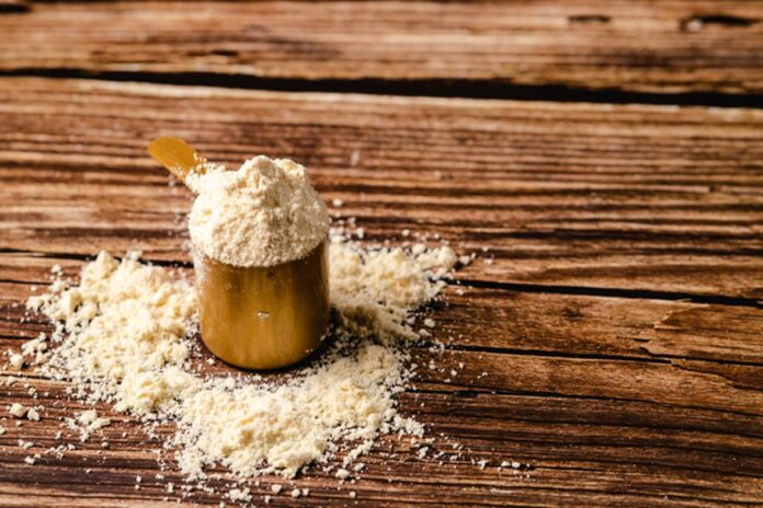 como-escolher-o-melhor-whey-protein?-confira-dicas-de-um-nutricionista