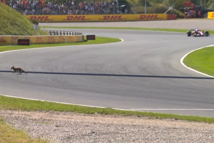 video:-forasteiro-invade-pista-durante-f1-e-e-flagrado-por-leclerc