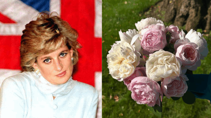 princesa-diana-recebe-homenagem-do-irmao-28-anos-apos-a-sua-morte