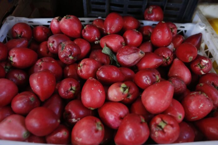 conheca-fruta-que-ajuda-a-prevenir-o-infarto-e-fortalece-o-coracao