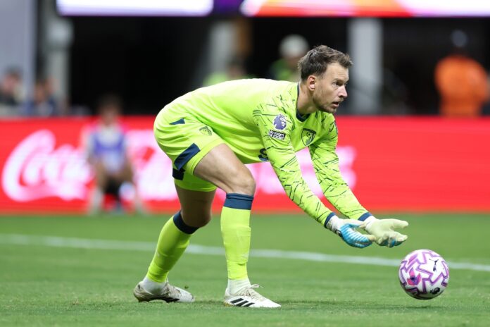 botafogo-deve-anunciar-goleiro-de-time-ingles-para-substituir-john
