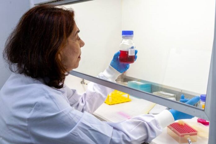 butantan-desenvolve-anticorpo-anti-zika-com-foco-em-gestantes