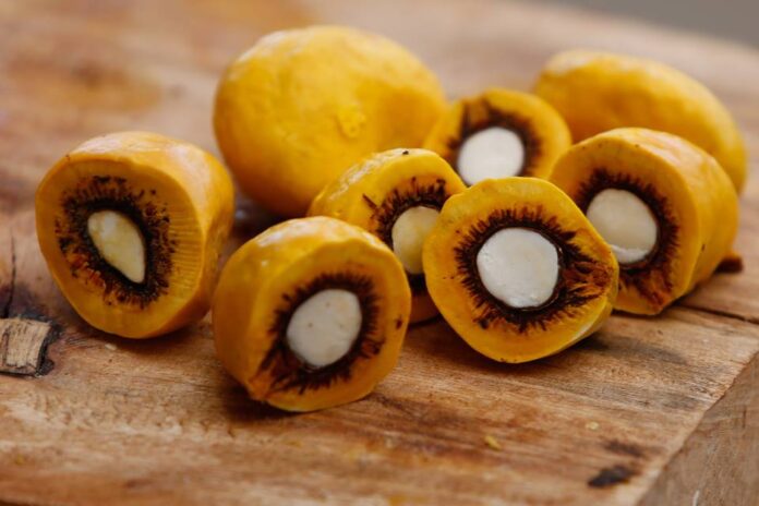 pesquisa-mostra-o-alto-teor-nutricional-dos-frutos-do-cerrado