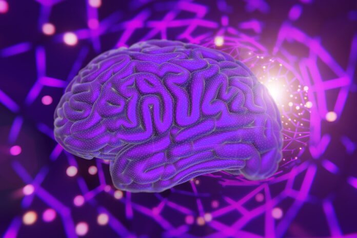 estudo:-bacterias-da-mae-podem-ajudar-a-moldar-o-cerebro-do-bebe