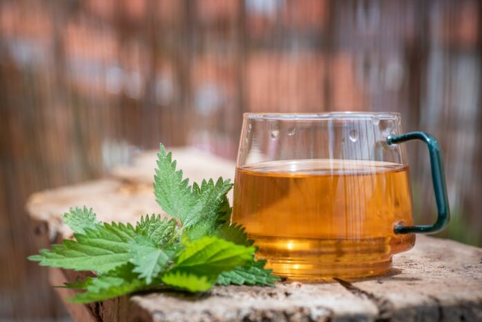cha-anti-inflamatorio-aliva-dores-articulares-e-auxilia-saude-dos-rins