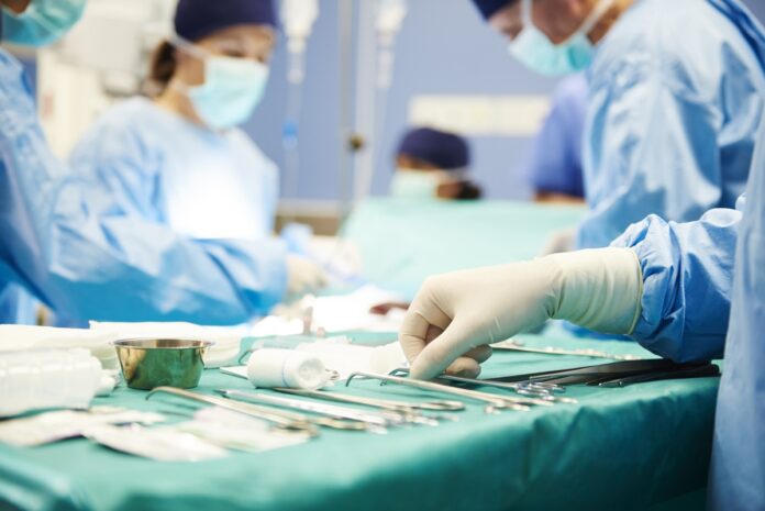 eua-autoriza-testes-de-transplante-de-rim-de-porco-em-humanos