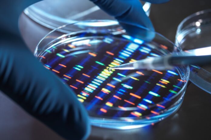 terapia-genetica-corrige-mutacao-rara-que-ameaca-criancas-pequenas