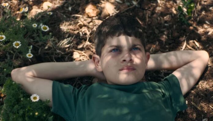 verba-do-“oscar-israelense”-pode-ser-cortada-apos-trofeu-de-filme-palestino