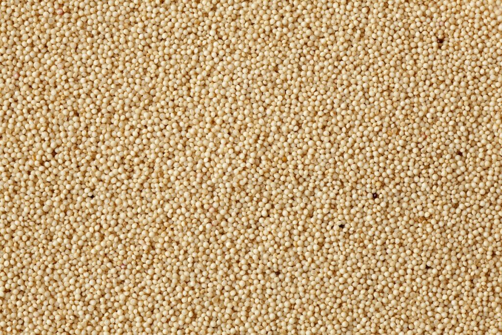 conheca-grao-rico-em-proteina-de-qualidade-e-facil-de-inserir-na-dieta