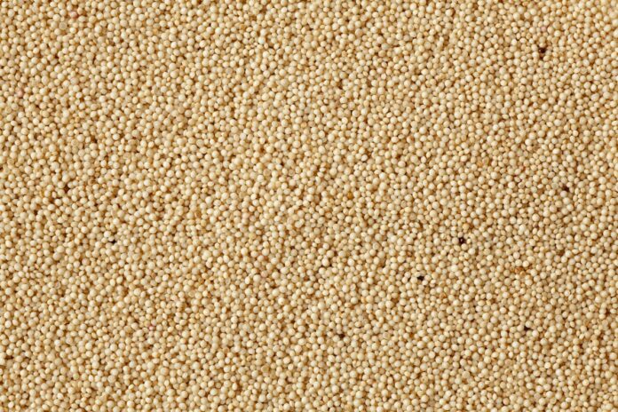 conheca-grao-rico-em-proteina-de-qualidade-e-facil-de-inserir-na-dieta