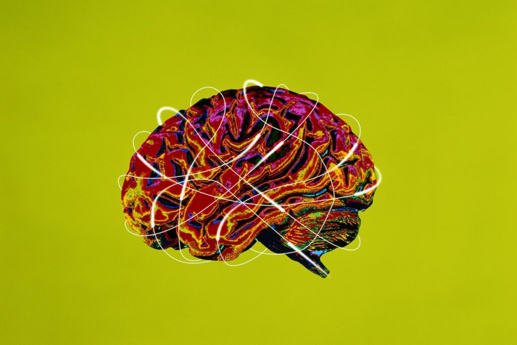 pesquisa-liga-acumulo-de-gordura-no-cerebro-ao-avanco-do-alzheimer