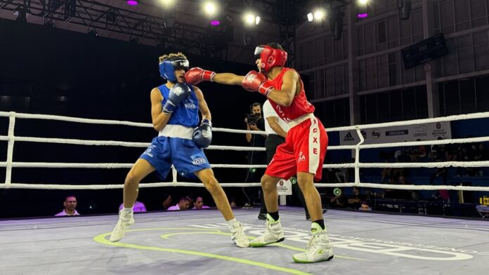 campeonato-brasileiro-de-boxe:-assista-as-finais-masculinas-ao-vivo