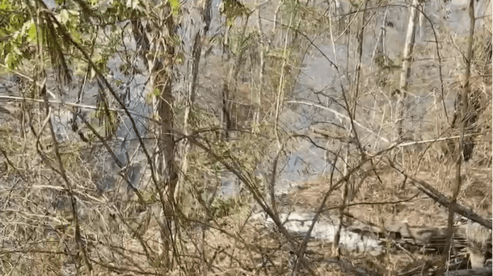 incendio-atinge-ha-mais-de-cinco-dias-area-de-vegetacao-no-interior-de-sp