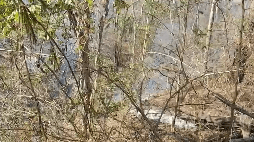 incendio-atinge-ha-mais-de-cinco-dias-area-de-vegetacao-no-interior-de-sp