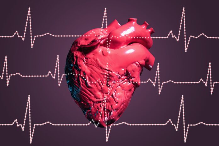 saiba-os-sinais-precoces-de-doencas-cardiovasculares-e-como-prevenir