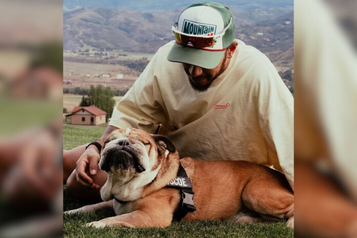 hamilton-anuncia-falecimento-de-roscoe:-“morreu-nos-meus-bracos”