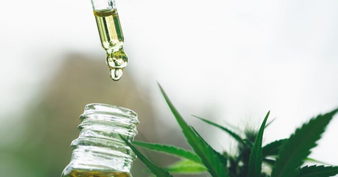 governo-federal-pede-mais-prazo-para-regulamentacao-da-cannabis-medicinal