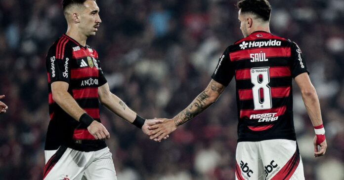 flamengo-perde-titular-importante-para-jogo-contra-bahia
