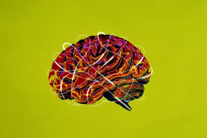 cientistas-identificam-area-do-cerebro-que-se-degrada-com-alzheimer