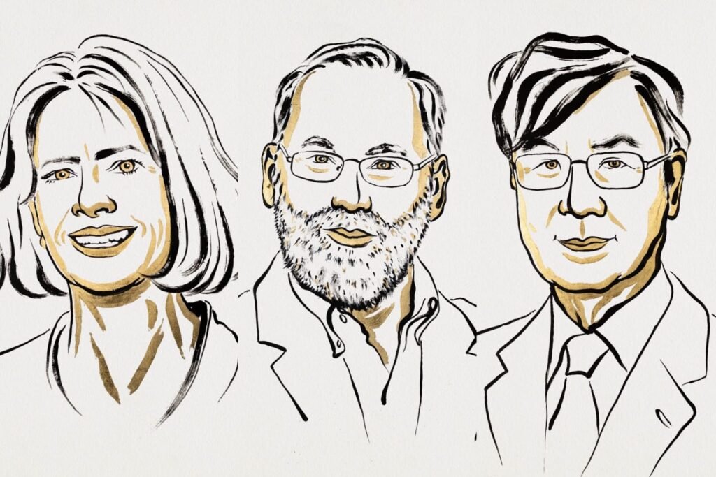 tolerancia-imunologica:-entenda-descoberta-que-rendeu-nobel-a-medicos