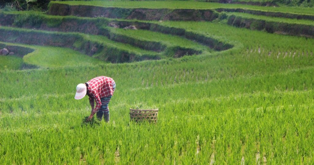 agro-preve-necessidade-de-investimento-de-r$-4,9-bi-em-estradas-vicinais