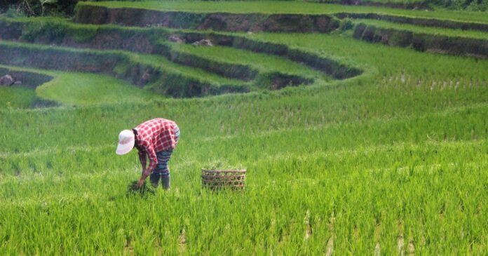 agro-preve-necessidade-de-investimento-de-r$-4,9-bi-em-estradas-vicinais