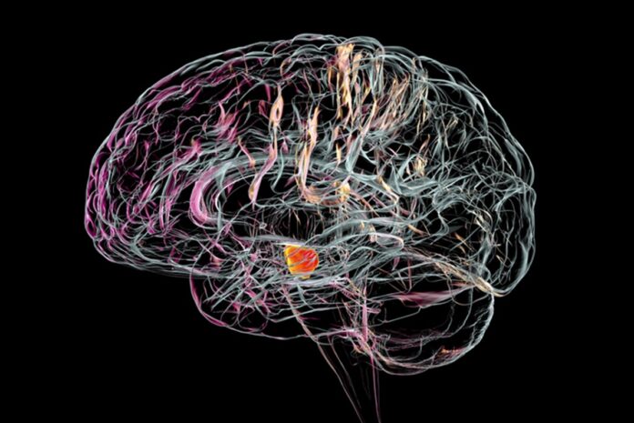 sindrome-das-pernas-inquietas-pode-aumentar-o-risco-de-parkinson