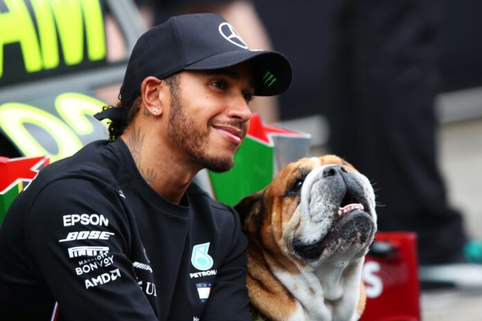 lewis-hamilton-ganha-quadro-de-lego-em-homenagem-ao-cao-roscoe.-veja